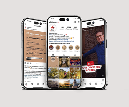 gestion des réseaux sociaux